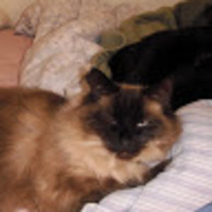 Meet your Posher, Robyn